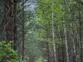 IMG_4640