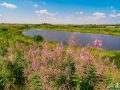 IMG_2242