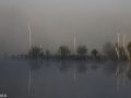 болото-восходный-туман