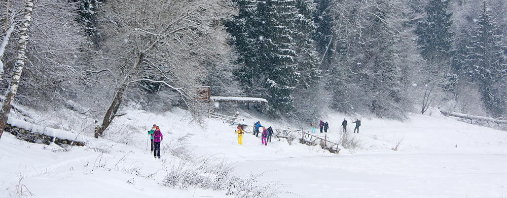 Лыжный поход из Полушкино в Звенигород