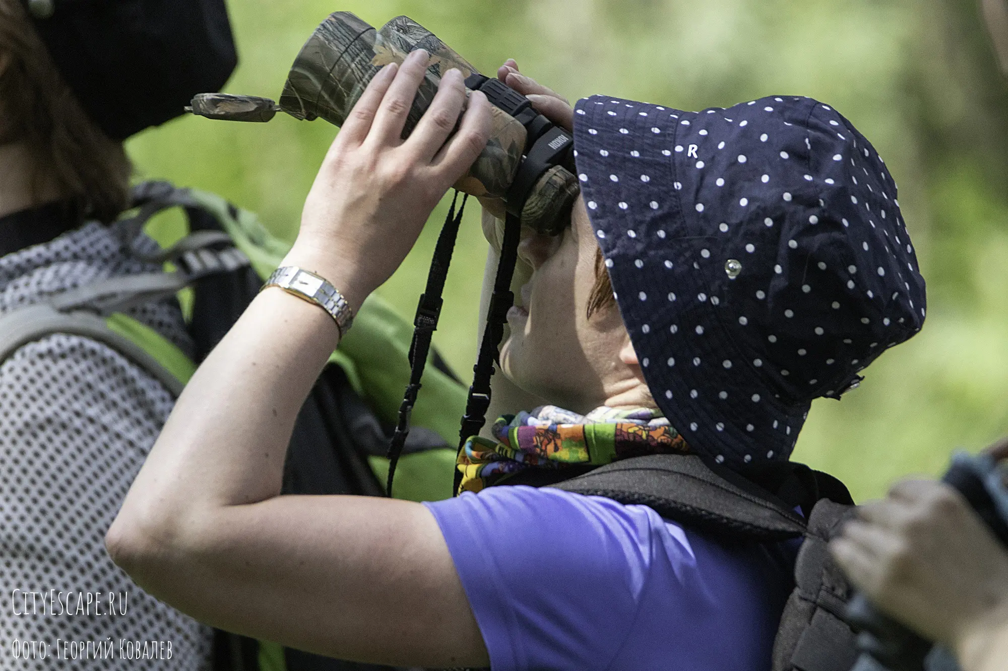 Орнитологический поход в Туголесский бор (Birdwatching) | Туристический  клуб City Escape