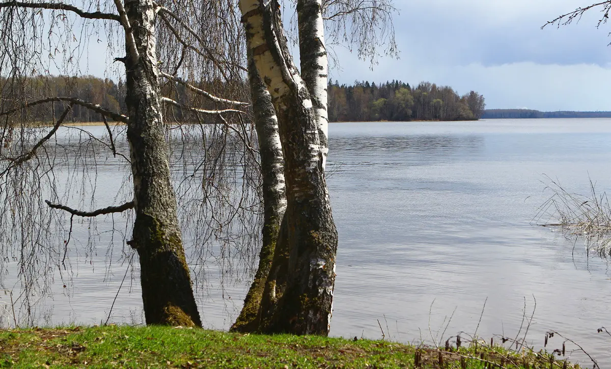 Учинское водохранилище рыбалка. Село Мощун затопление.