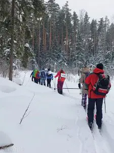 Лыжи для походов и туризма