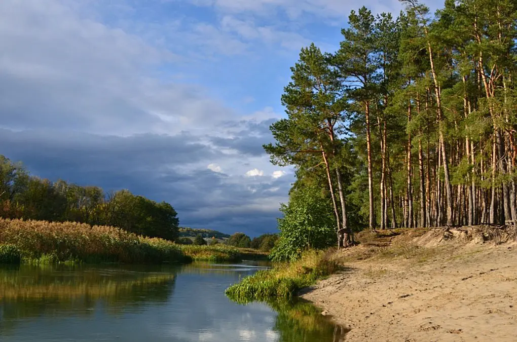 Российская ассоциация водоснабжения и водоотведения - Федеральный проект «Оздоровление Волги»